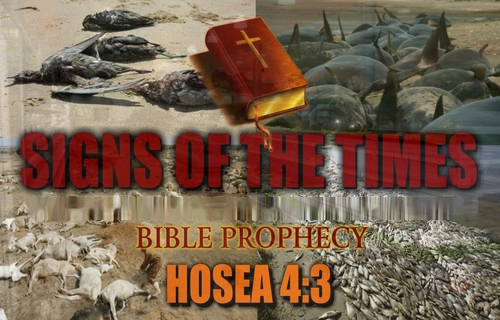 signs_of_the_times_Hosea_4_3.jpg