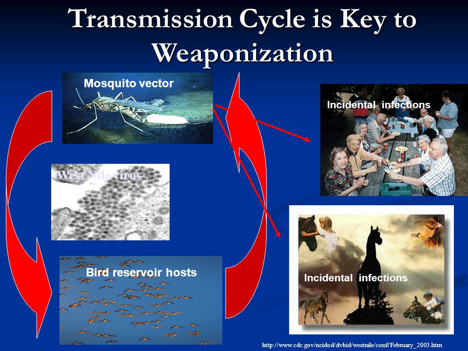 slide_59.jpg