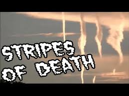 stripes.jpeg