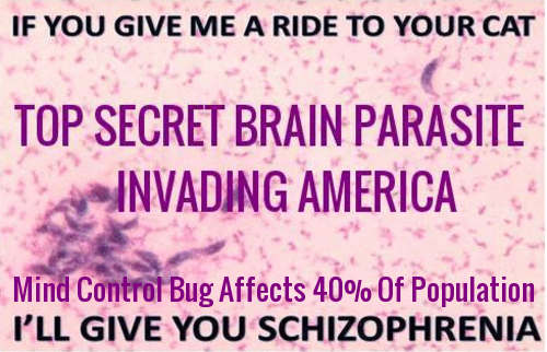 toxoplasma_g.png