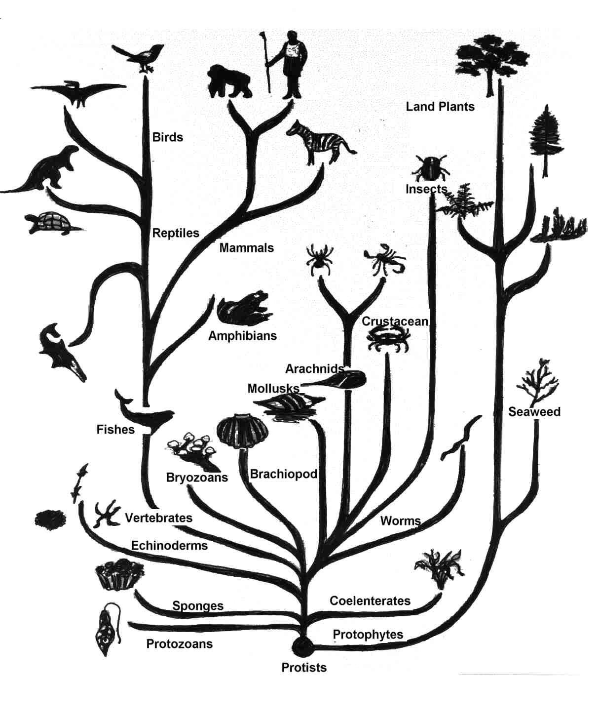 treeolife3.jpg