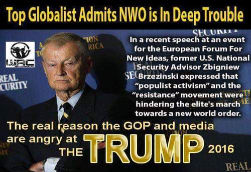 trump_vs_nwo_a.jpg