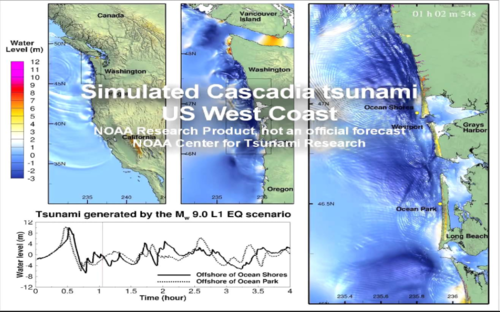 tsunami_simulation.png