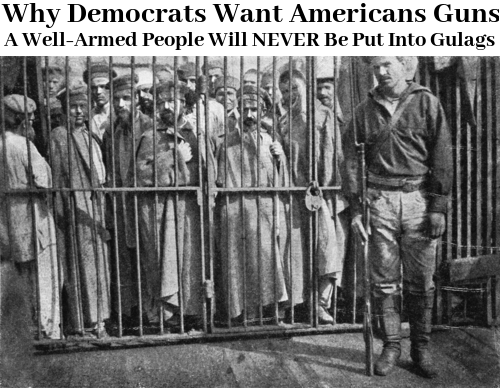 well_armed_never_gulags.png