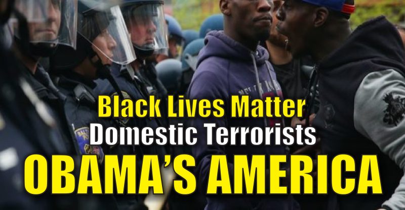 x001-BLM-Terrorists-01-800x416.jpg.pagespeed.ic.j2GEq-58Pg.jpg