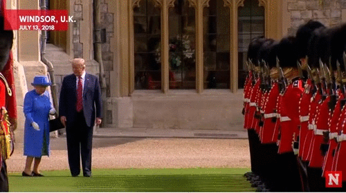 yes_Trump.gif